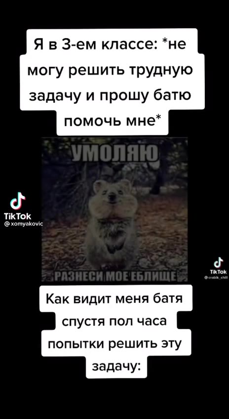 могу решить трудную задачу и прошу батю помочь мне* Как видит меня батя спустя пол часа попытки решить эту