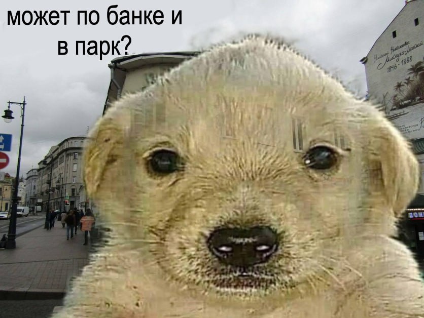 может по банке и в парк? a