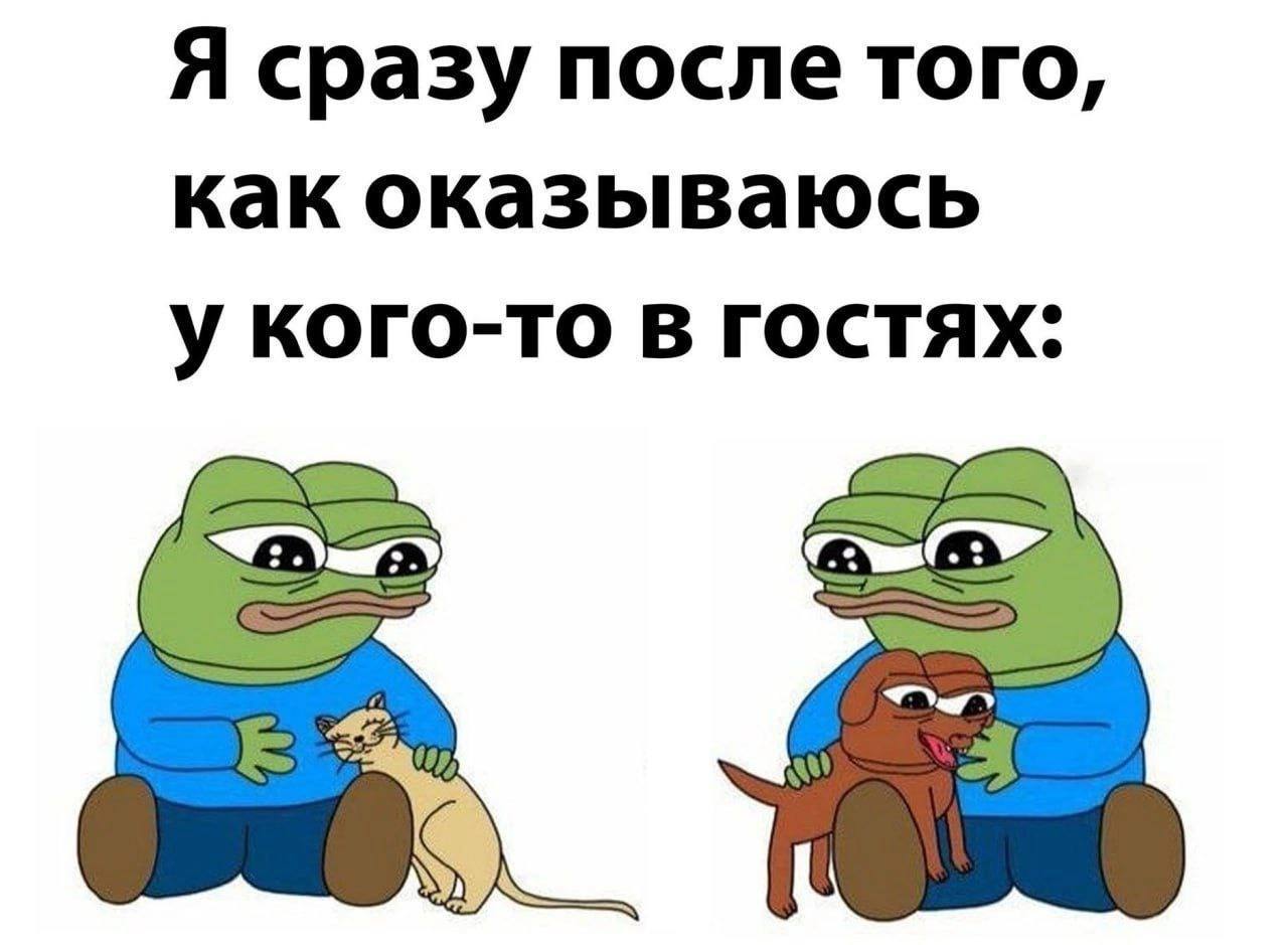 Я сразу после того, как оказываюсь у кого-то в гостях.