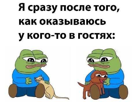 Я сразу после того, как оказываюсь у кого-то в гостях.