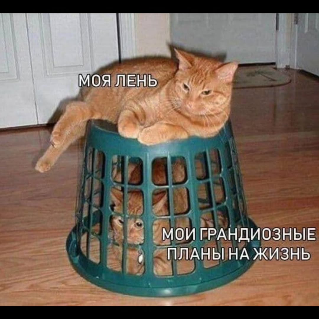 МОЯ ЛЕНЬ мои ГРАНДИОЗНЫЕ ПЛАНЫ ЖИЗНЬ