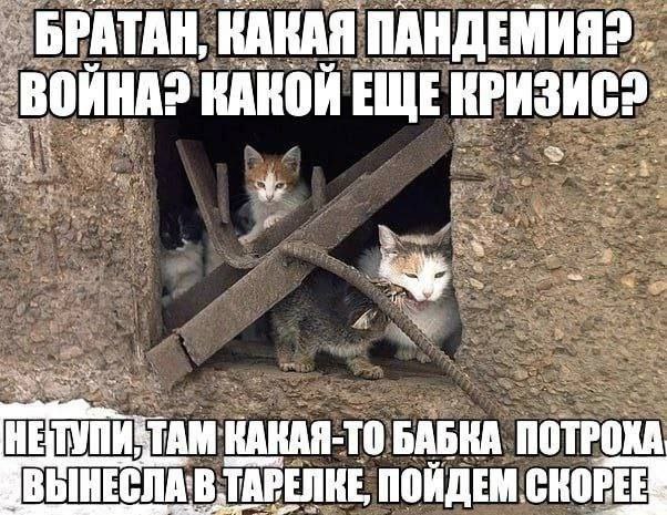 КАКАЯ КАКОИ ЕЩЕ КРИЗИС? КАКАЯ-ТО БАБКА ПОТРОКА УБЫНЕСЛА:В ТАРЕЛКЕ, ПОЙДЕМ