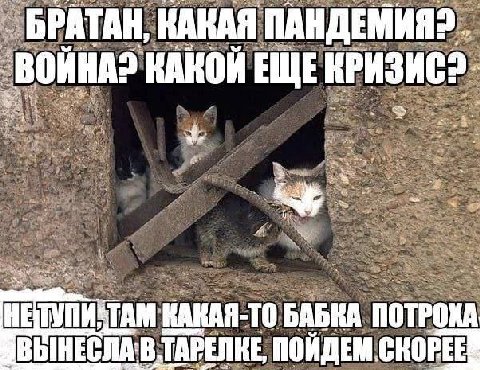 КАКАЯ КАКОИ ЕЩЕ КРИЗИС? КАКАЯ-ТО БАБКА ПОТРОКА УБЫНЕСЛА:В ТАРЕЛКЕ, ПОЙДЕМ
