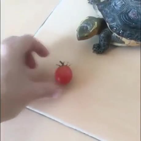 мем