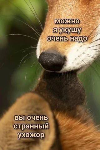 надо вы очень странныи ухожор