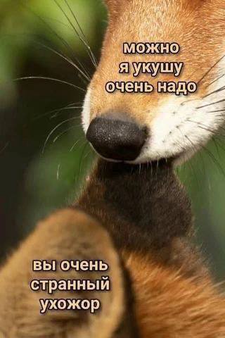 надо вы очень странныи ухожор