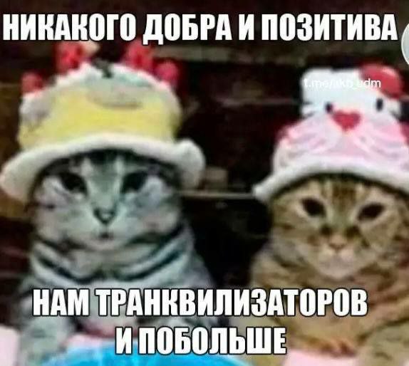 НИКАКОГО я НАМ ТРАННВИЛИЗАТОРОВ ИПОБОЛЬШЕ