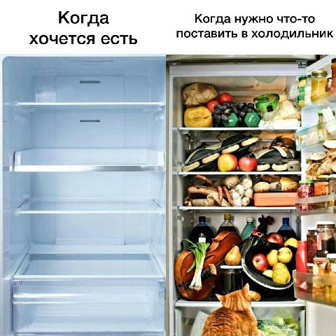 Когда Когда нужно что-то хочется есть поставить в холодильник aor We
