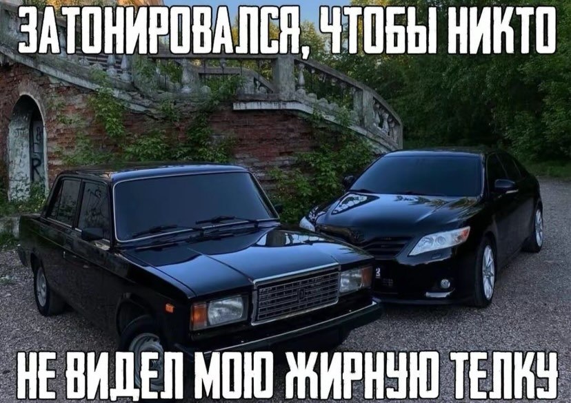 ЗАТОНИРОВАЛСЯ, ЧТОБЫ НИКТО МОЮ ЖИРИЧЮ ТЕПКУ
