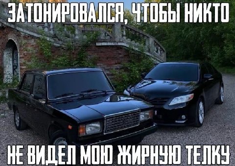 ЗАТОНИРОВАЛСЯ, ЧТОБЫ НИКТО МОЮ ЖИРИЧЮ ТЕПКУ