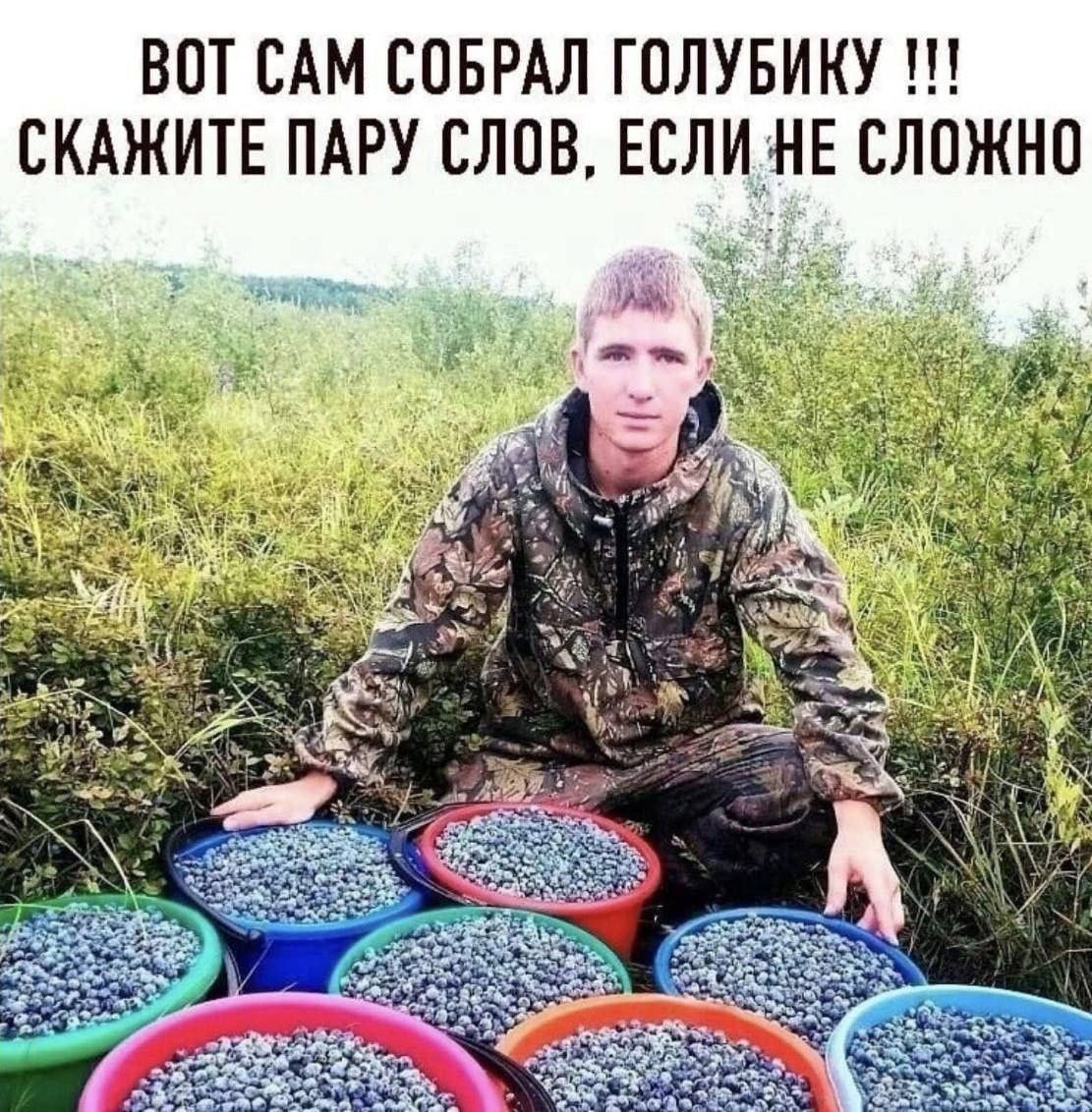 BOT CAM СОБРАЛ ГОЛУБИКУ нии СКАЖИТЕ ПАРУ СЛОВ, HE СЛОЖНО че AS