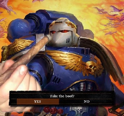 Take the boof? YES NO