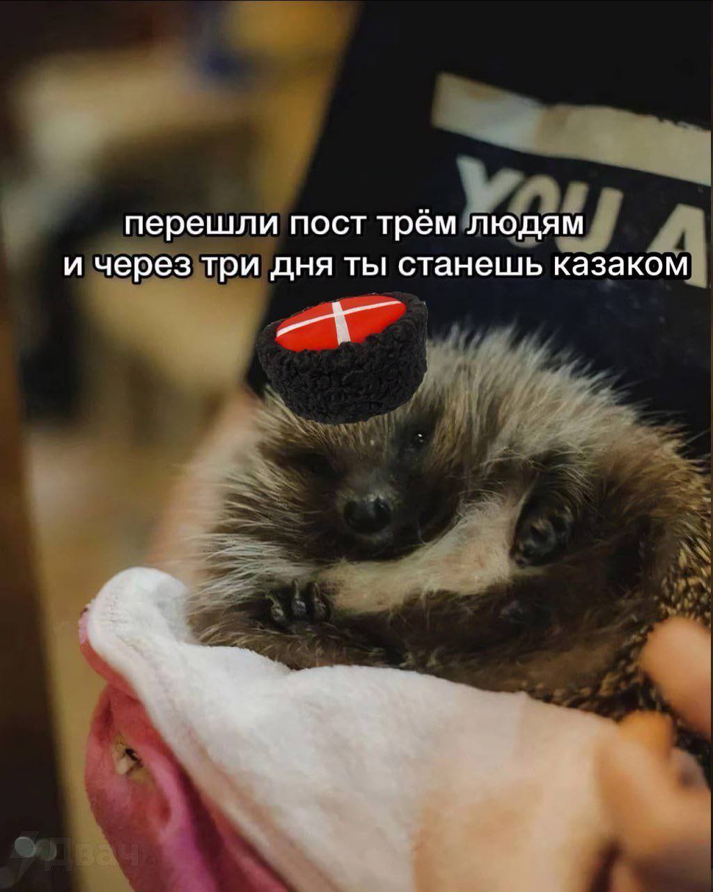 перешли пост трём людям и через три дня ты станешь казаком