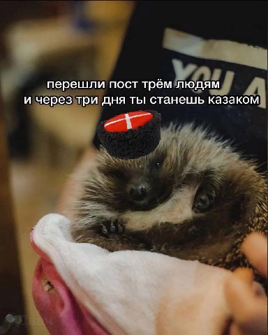 перешли пост трём людям и через три дня ты станешь казаком