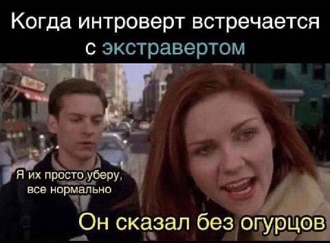 Когда интроверт встречается С Я просто уберу. все нормально Он сказал без огурцов