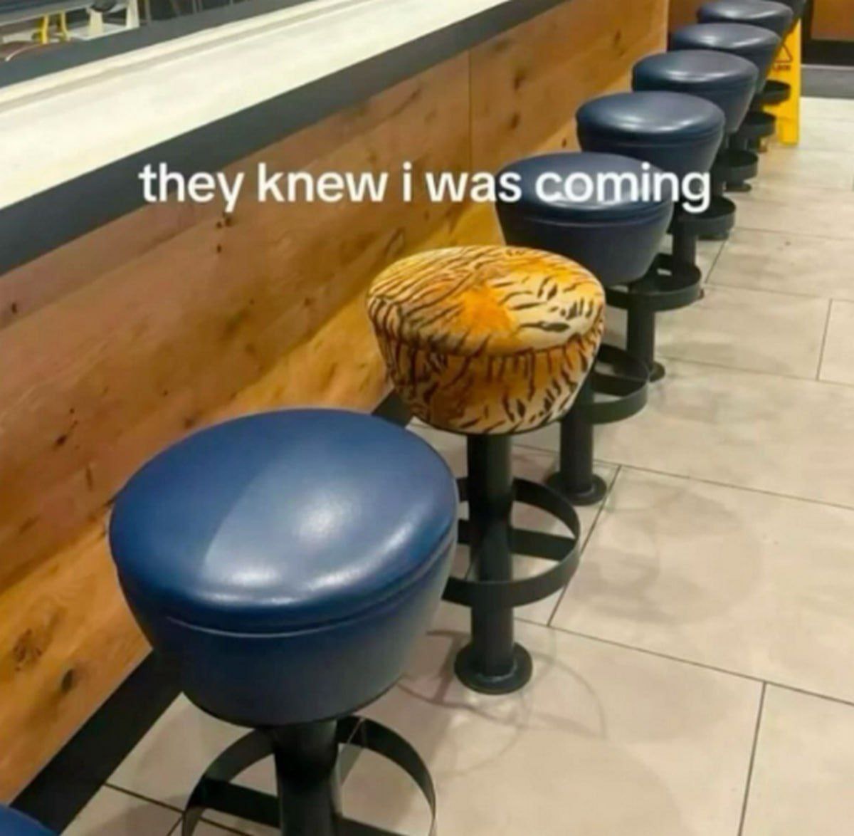 they knew i was coming