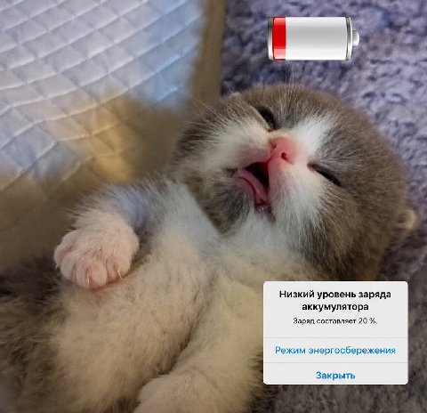 я прямо сейчас