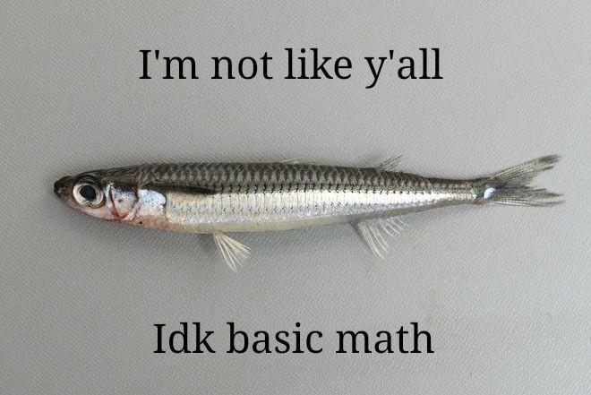 not like y'all if VRS Idk basic math
