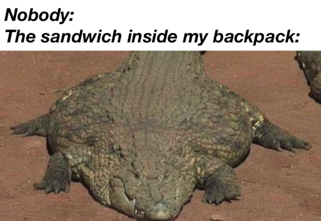 Noboay: The sandwich inside my backpack: