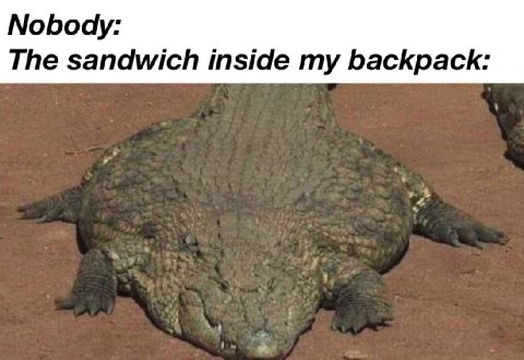 Noboay: The sandwich inside my backpack:
