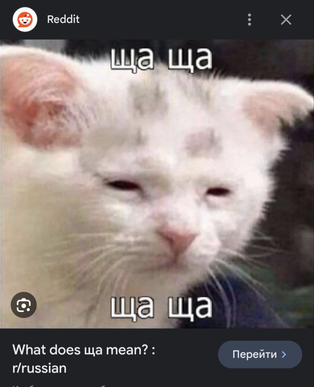 ща ща