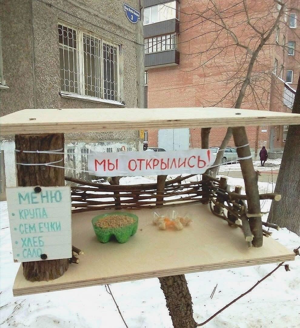 iN МЫ OTKPBIAUC bid 11