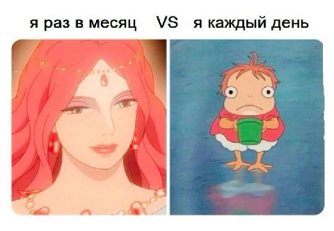 я раз в месяц я каждый день a