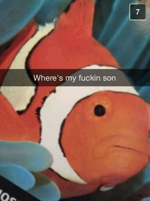 Where's my fuckin son