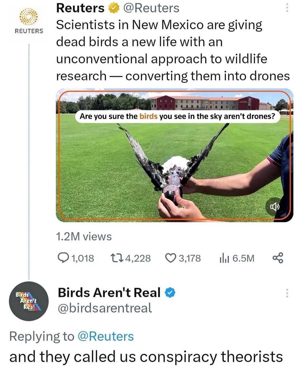 Reuters @Reuters ocientists in New Mexico are giving dead birds a new life with an unconventional approach to wildlife research converting them into drones or views 134,228 Birds Aren't Real Replying 