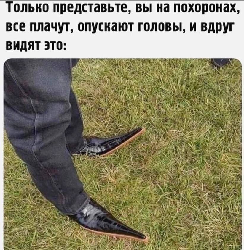 Только представьте, вы на похоронах, все плачут, опускают головы, и вдруг ВИДЯТ ЭТО: 9,