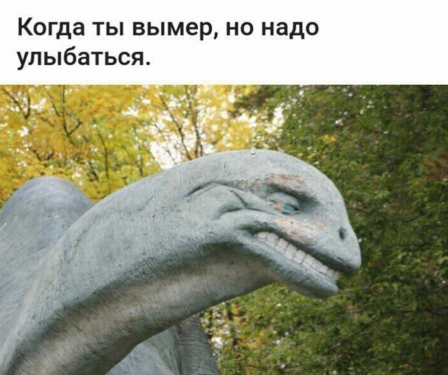 Когда ты вымер, но надо улыбаться.