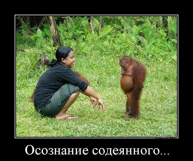 a Осознание содеянного...