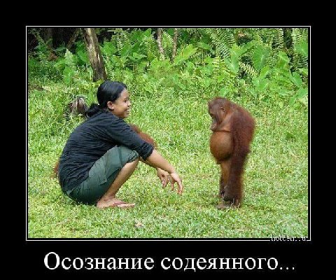 a Осознание содеянного...