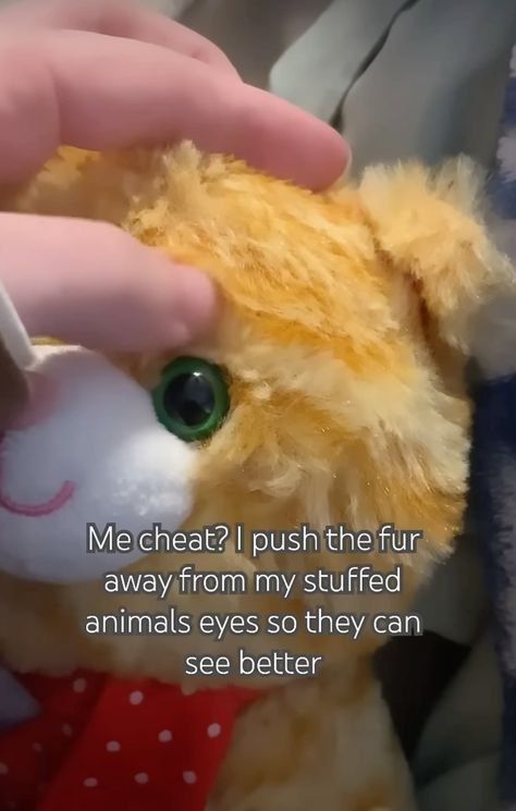 Me cheat? push the fur away from my stuffed animals eyes so they can see better