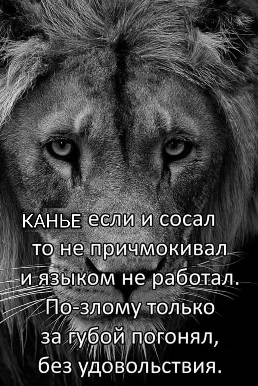 КАНЬЕ если и сосал то не причмокивал _-и-языком не работал. По-злому только за губой погонял, без удовольствия.