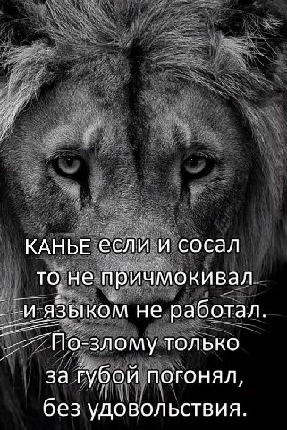 КАНЬЕ если и сосал то не причмокивал _-и-языком не работал. По-злому только за губой погонял, без удовольствия.