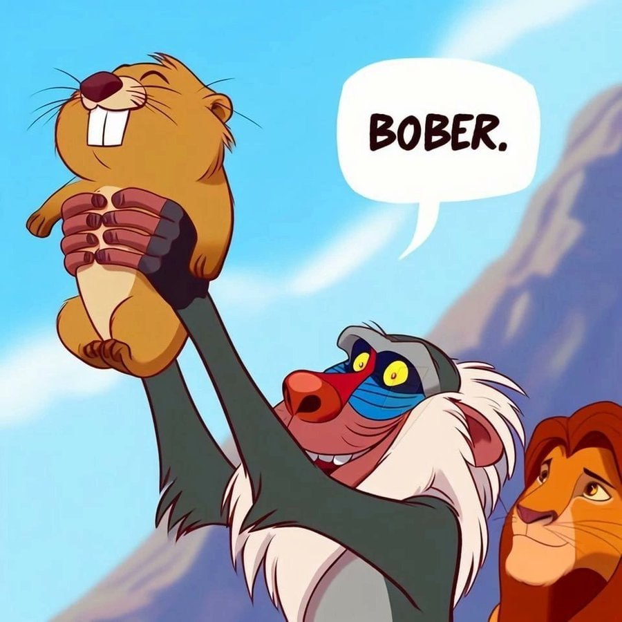 BOBER.