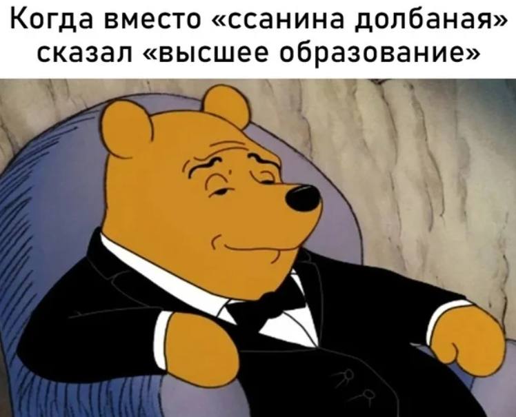 Когда вместо «ссанина долбаная» сказал «высшее образование»