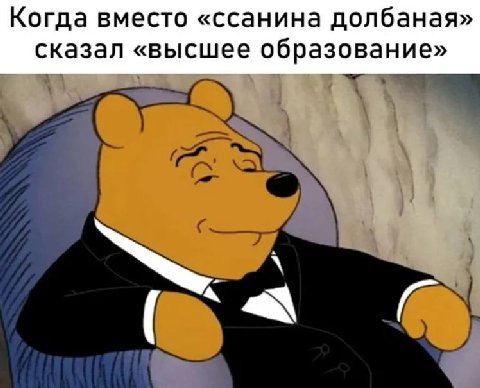 Когда вместо «ссанина долбаная» сказал «высшее образование»