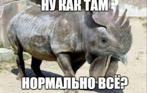 A: РМАЛ 0: BCE?
