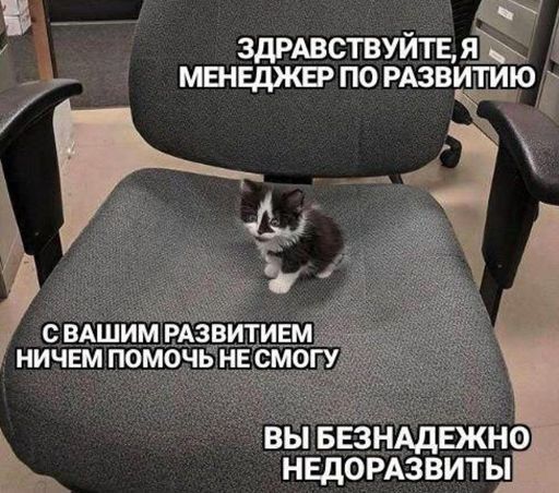 ЗДРАВСТВУЙТЕ, Я МЕНЕДЖЕР ПО РАЗВИТИЮ СВАШИМ РАЗВИТИЕМ НИЧЕМ ПОМОЧЬ НЕ СМОГУ ВЫ БЕЗНАДЕЖНО НЕДОРАЗВИТЫ