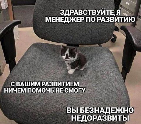 ЗДРАВСТВУЙТЕ, Я МЕНЕДЖЕР ПО РАЗВИТИЮ СВАШИМ РАЗВИТИЕМ НИЧЕМ ПОМОЧЬ НЕ СМОГУ ВЫ БЕЗНАДЕЖНО НЕДОРАЗВИТЫ