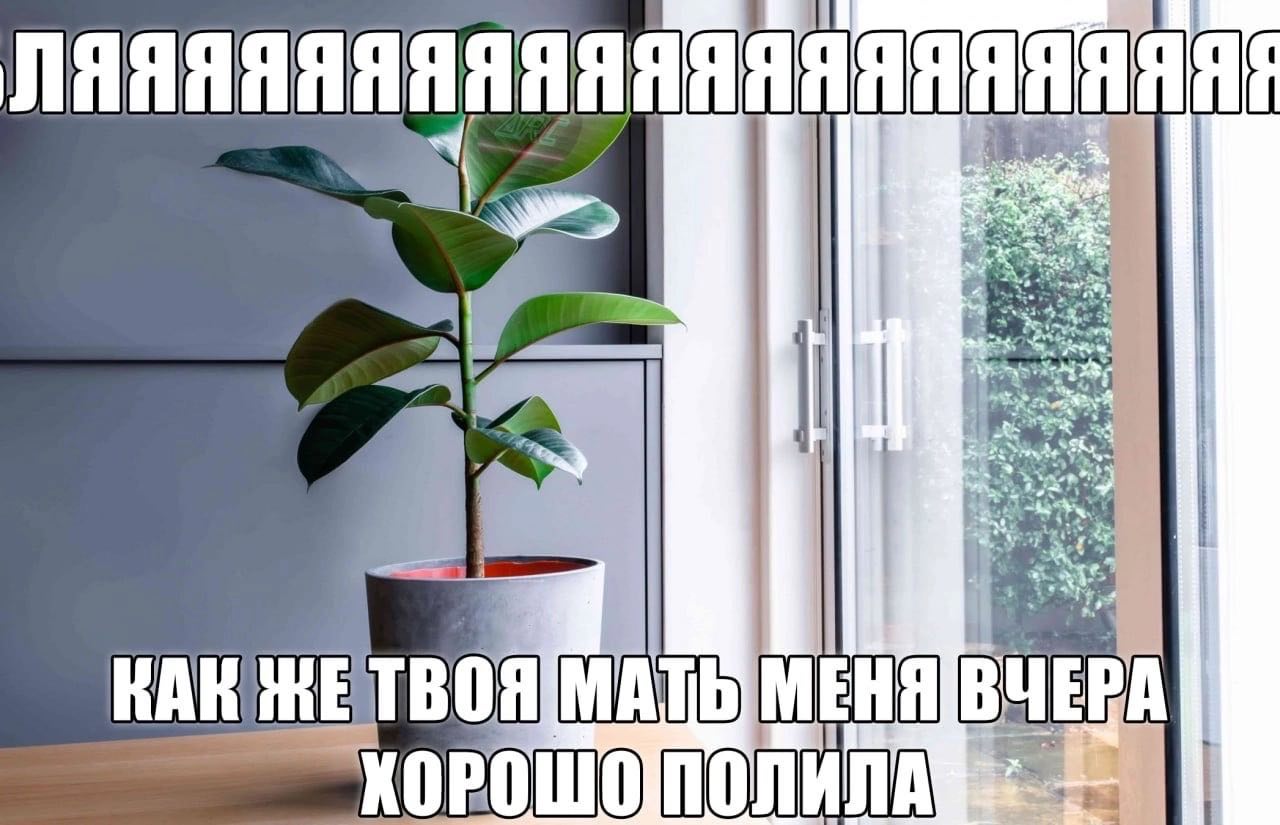 НАК