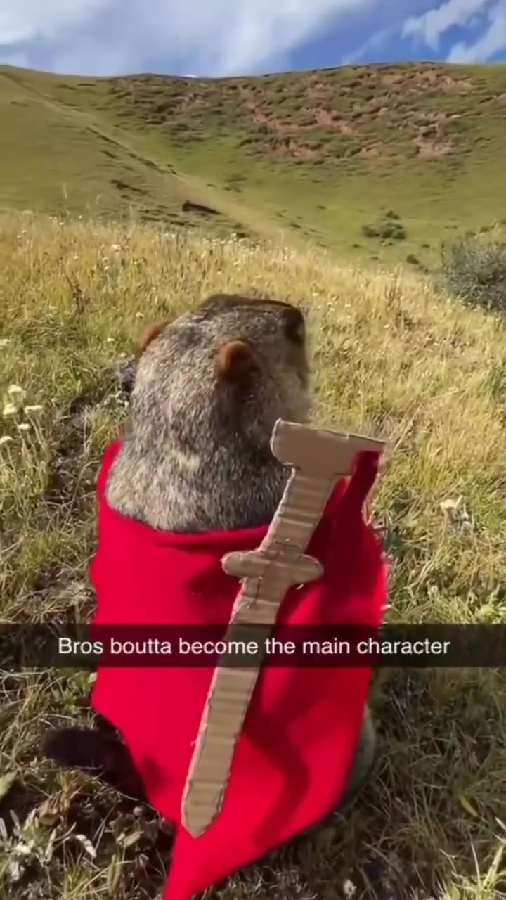 Bros boutta become the тат character