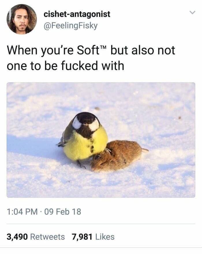 cishet-antagonist @FeelingFisky When you're Soft™ but also not one to be fucked with 1:04 09 Feb 18 3,490 Retweets 7,981 Likes