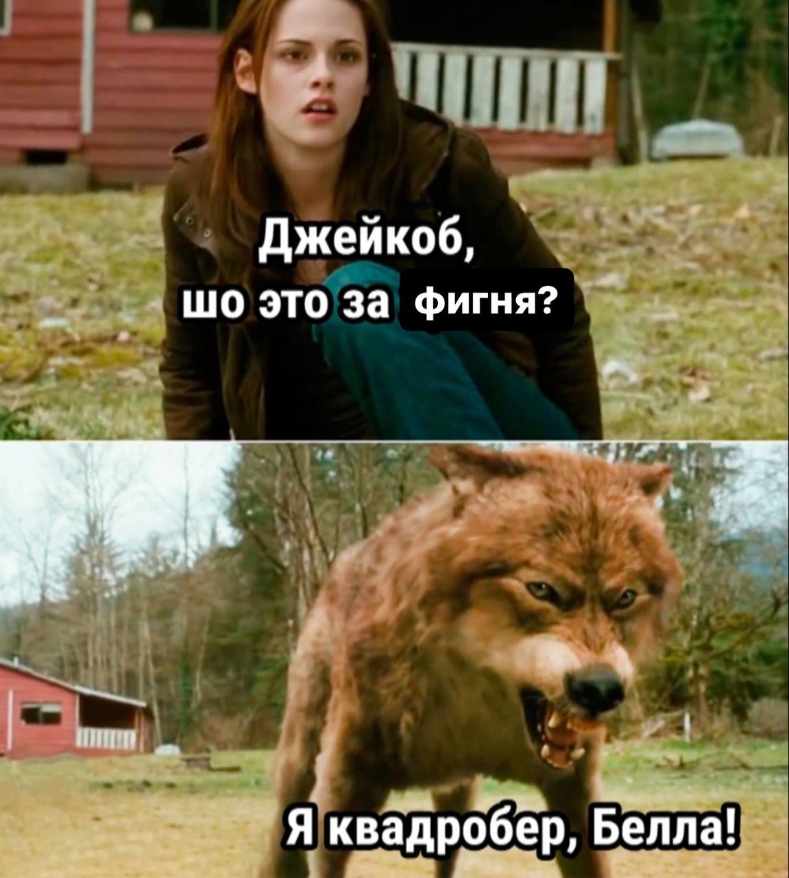 4 Джейкоб, это за фигня? Я квадробер, Белла!