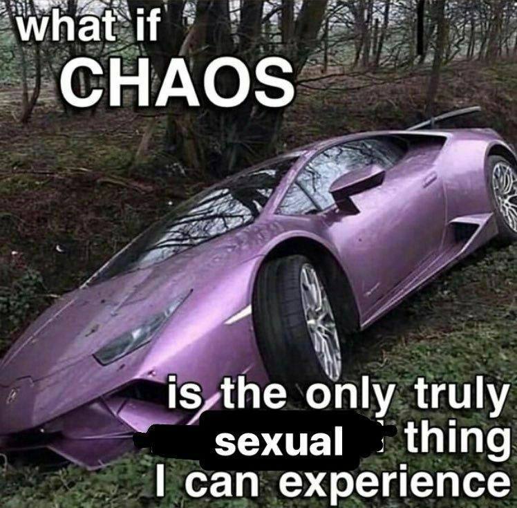 what if CHAOS ‘is the only truly sexual thing can experience