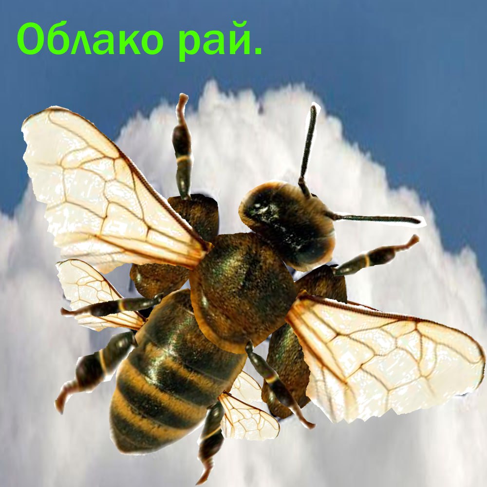 Облако pan. 4 A а а: