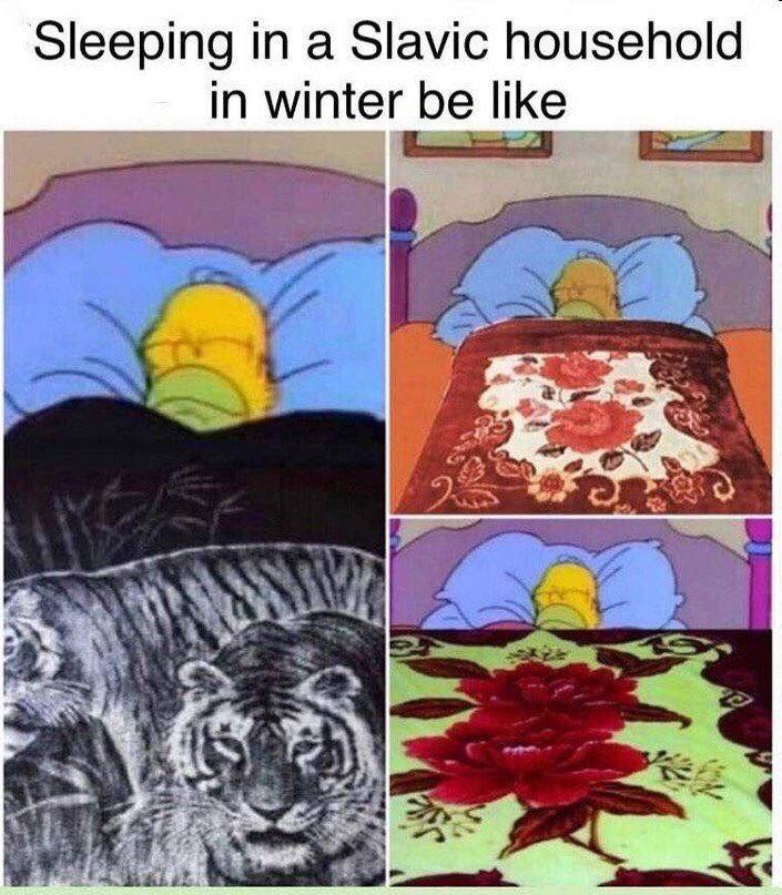 Sleeping in a Slavic household in winter be like "4