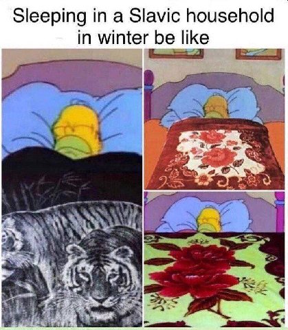 Sleeping in a Slavic household in winter be like "4